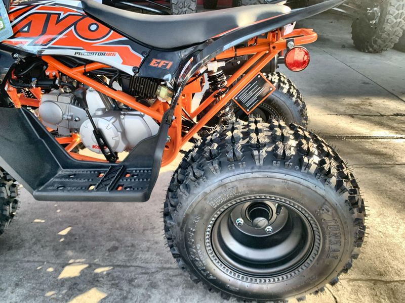 New 2025 Kayo PREDATOR 125 EFI Image 10