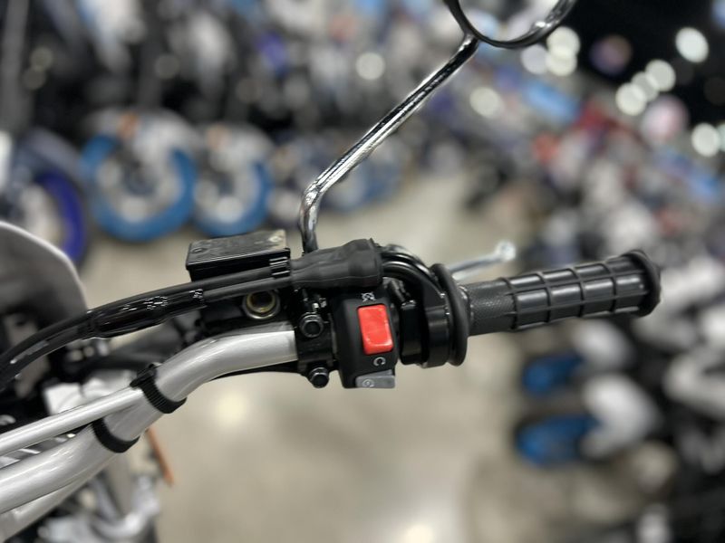 Used 2025 Yamaha TW200 Image 3