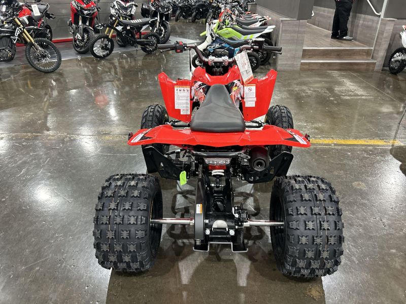 New 2026 Kayo STORM 300 Image 13