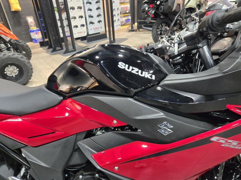 NEW 2025 SUZUKI GSX 250R ABS Image 10