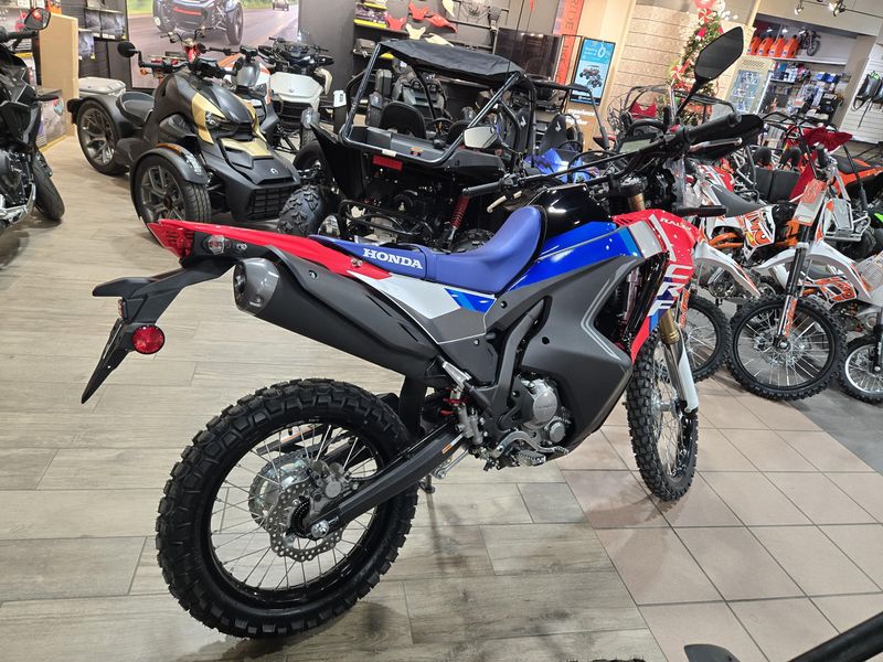NEW 2025 HONDA CRF300L RALLY ABS Image 6