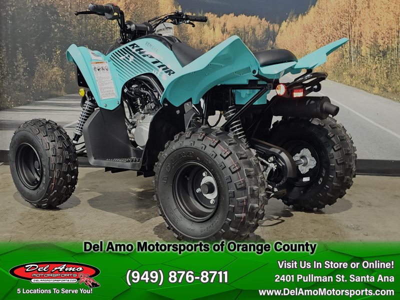New 2025 Yamaha RAPTOR 110 Image 7