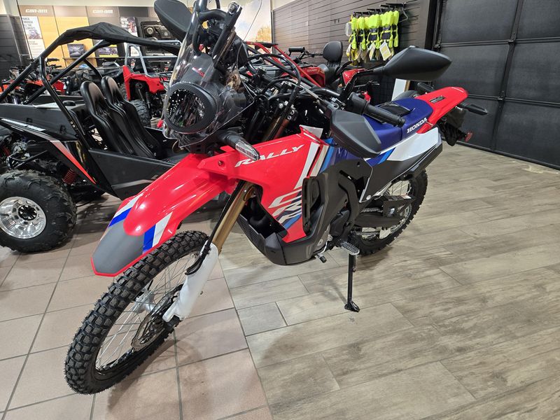 NEW 2025 HONDA CRF300L RALLY ABS Image 12