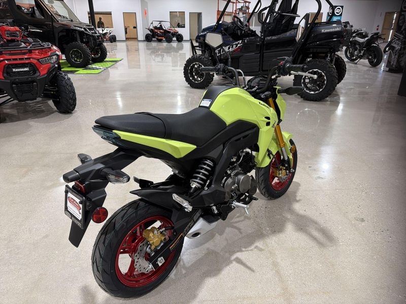 New 2026 Kawasaki Z125 PRO Image 17