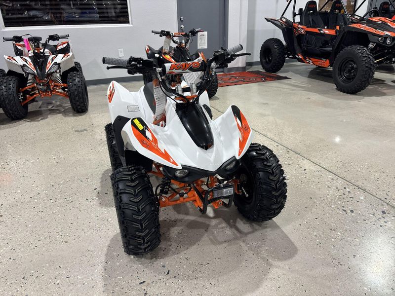 New 2026 Kayo STORM 70  in a WHITE exterior color. Victorville Del Amo Motorsports 760-241-7387 delamomotorsportsofvictorville.com 