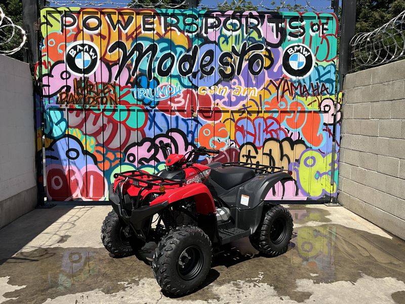 New 2025 Yamaha Grizzly 110 Image 1