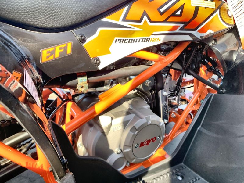 New 2026 Kayo PREDATOR 125 EFI Image 21