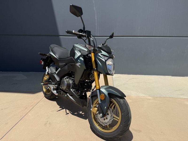 2025 Kawasaki Z125 PRO Image 1