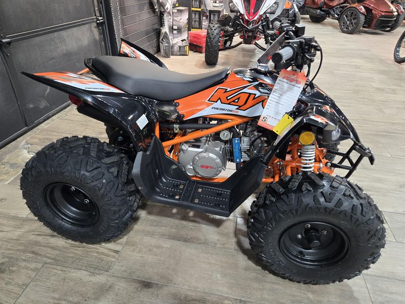 NEW 2026 KAYO PREDATOR 110 Image 2
