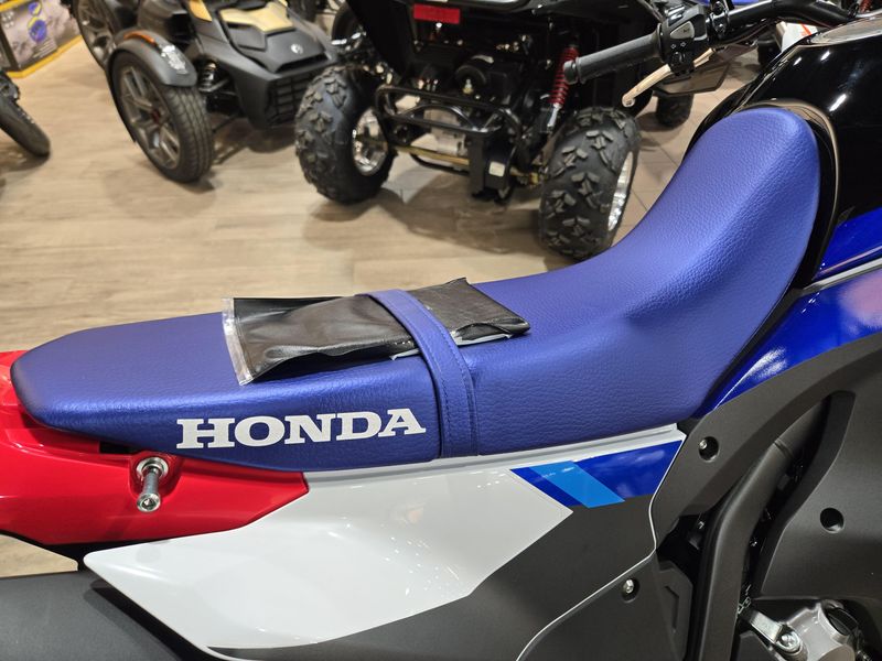 NEW 2025 HONDA CRF300L RALLY ABS Image 15