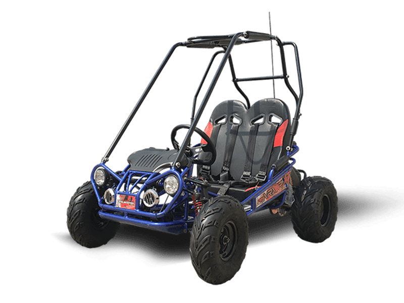 NEW 2025 TRAILMASTER MINI XRXR Image 1