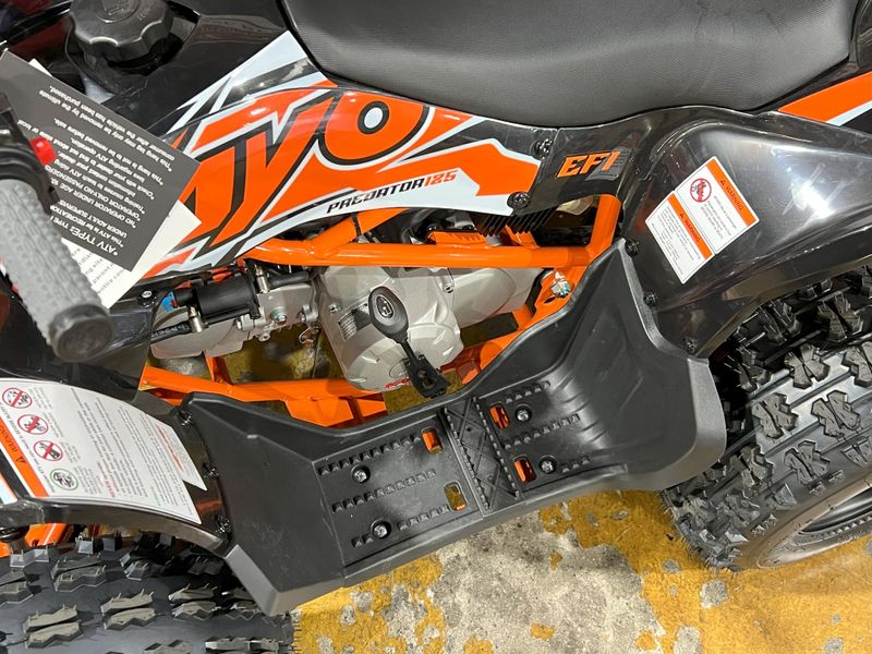 2025 Kayo PREDATOR 125 EFI Image 14