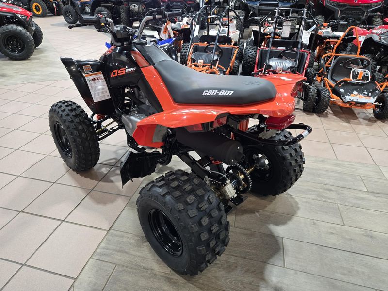 NEW 2026 CAN-AM DS 250 Image 7