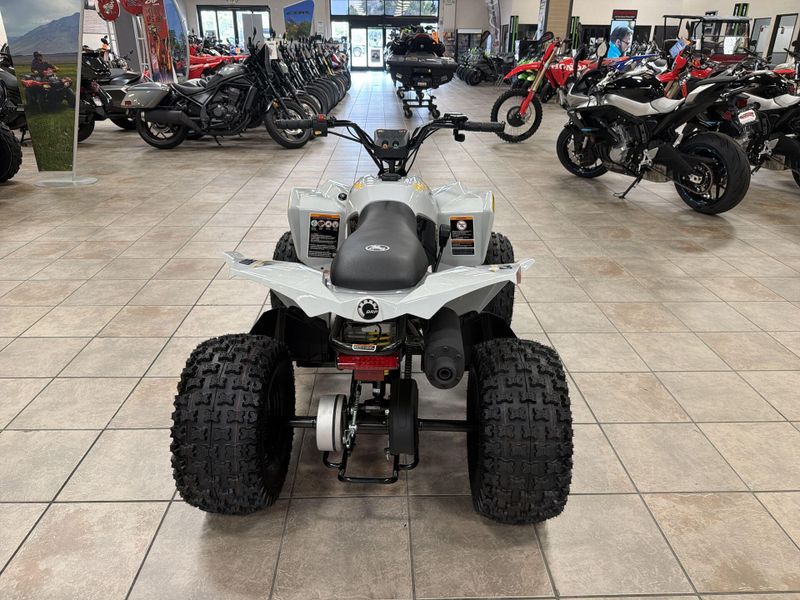 New 2026 Can-Am RENEGADE 110 EFI Image 16