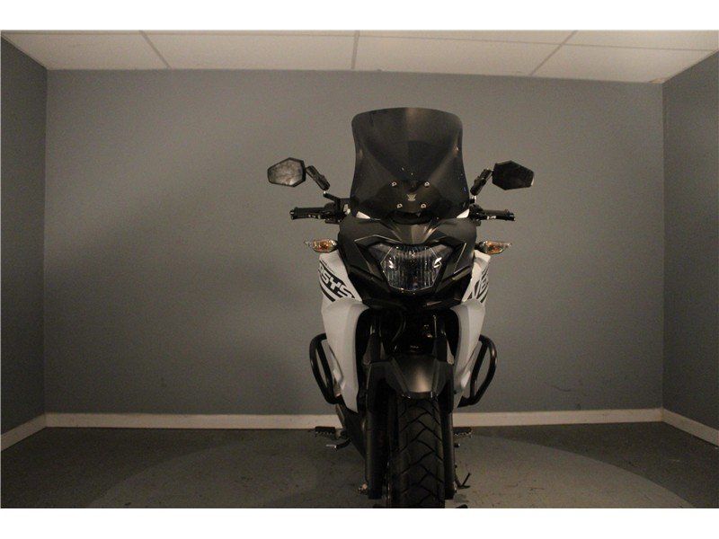 2020 Kawasaki Versys-XImage 5