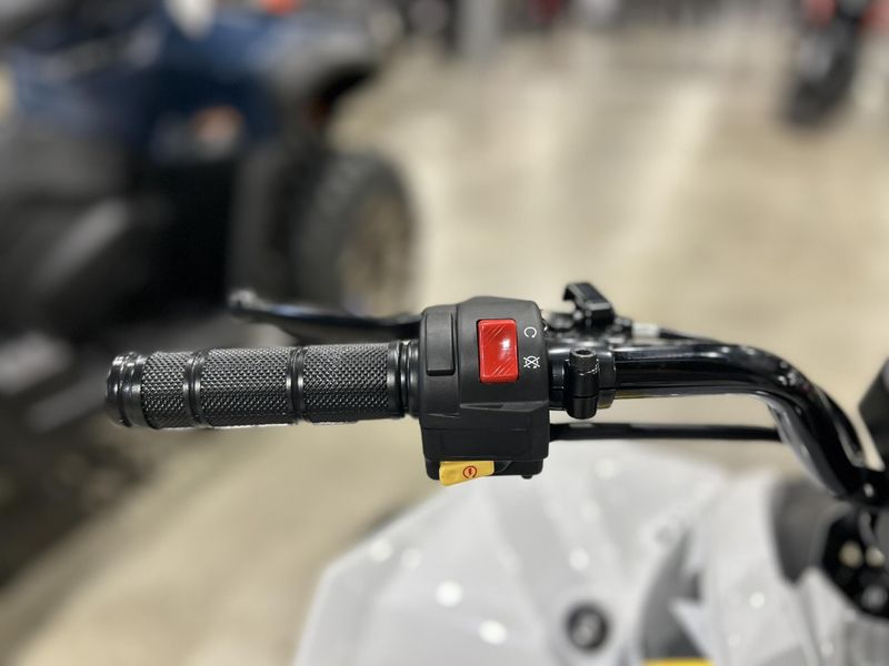 New 2025 Can-Am RENEGADE 110 EFI Image 10