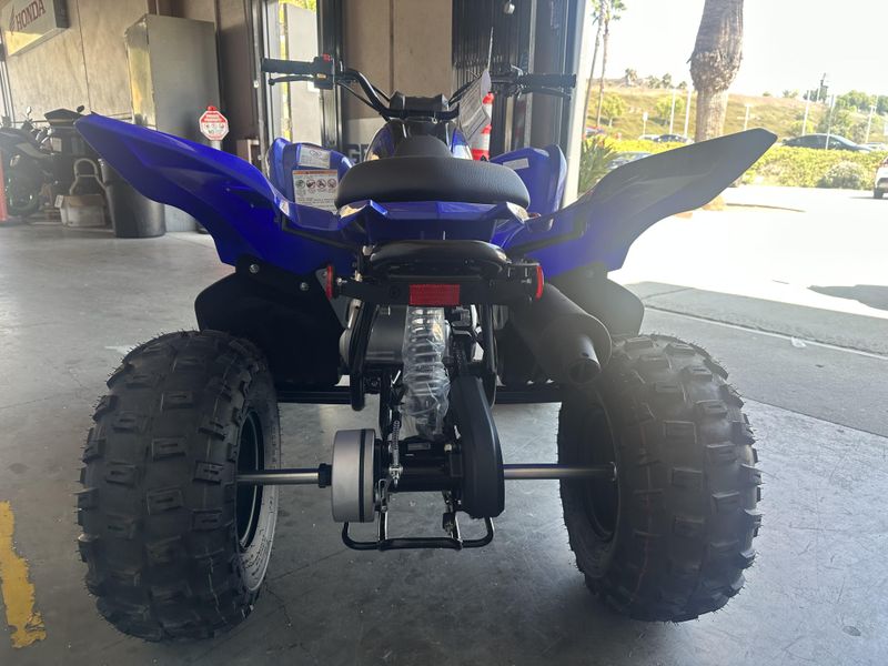 2025 Yamaha RAPTOR 110 Image 8