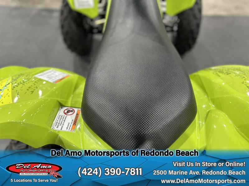 2025 Yamaha RAPTOR 700 Image 8