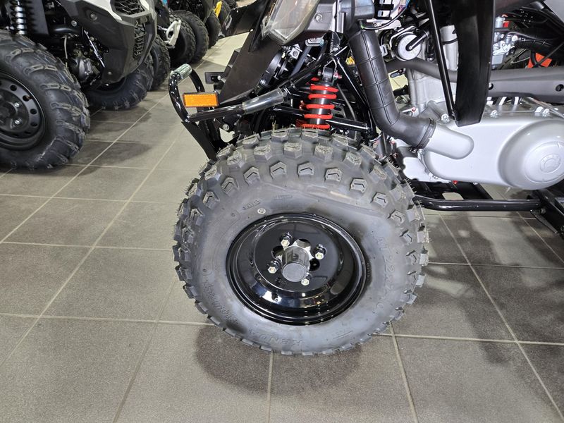 NEW 2026 CAN-AM DS 250 Image 21