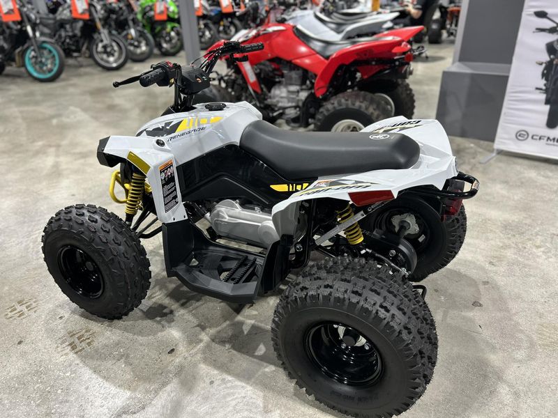 New 2025 Can-Am RENEGADE 110 EFI Image 7