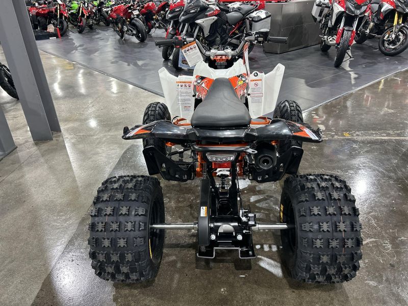 New 2026 Kayo STORM 300 Image 14