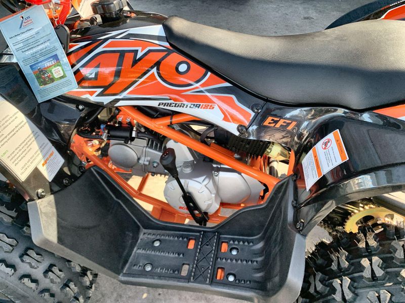 New 2025 Kayo PREDATOR 125 EFI Image 13