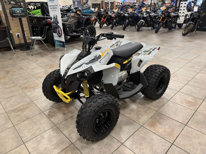 New 2026 Can-Am RENEGADE 110 EFI Image 13