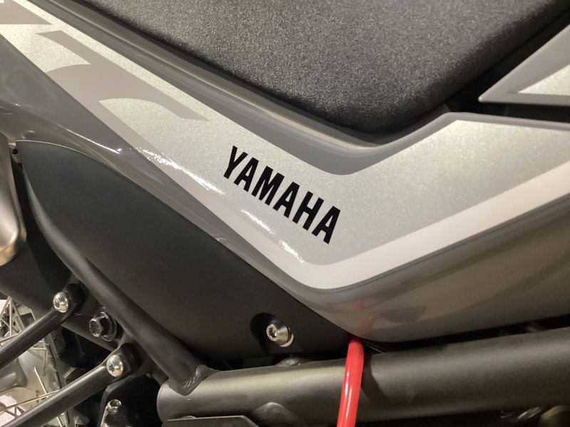 2024 Yamaha XT250 RADICAL GRAYImage 14