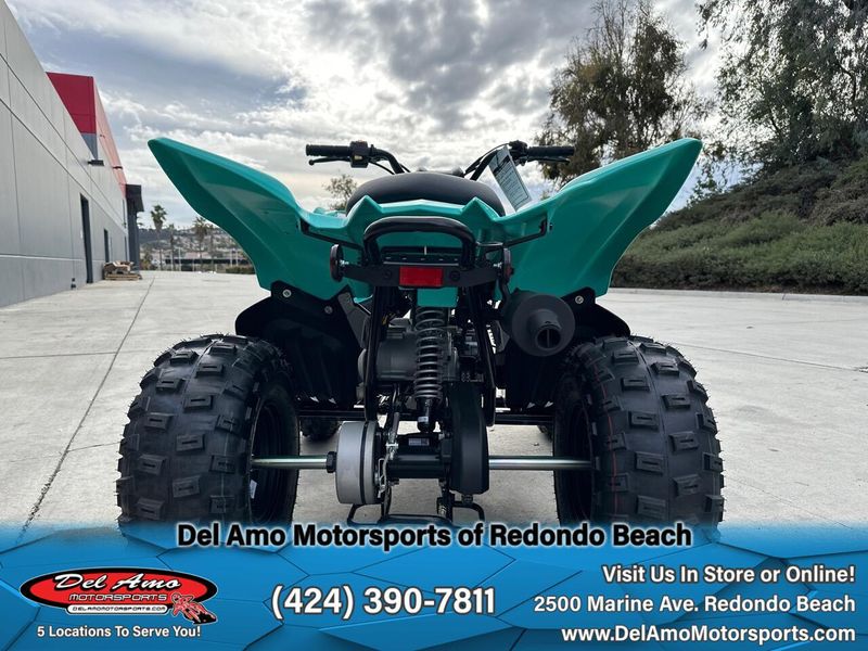 2025 Yamaha RAPTOR 110 Image 4