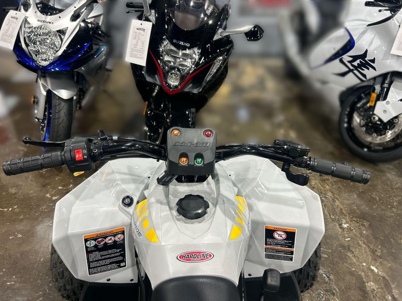 Used 2026 Can-Am RENEGADE 110 EFI Image 16
