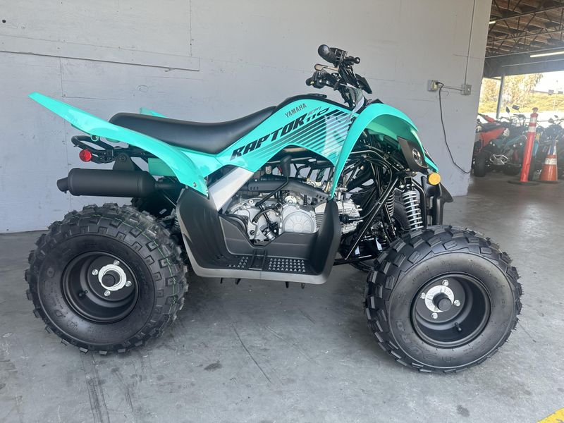 2025 Yamaha RAPTOR 110 Image 6