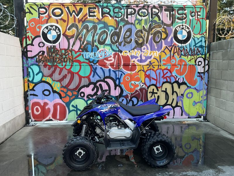 New 2026 Yamaha Raptor 110 Image 8