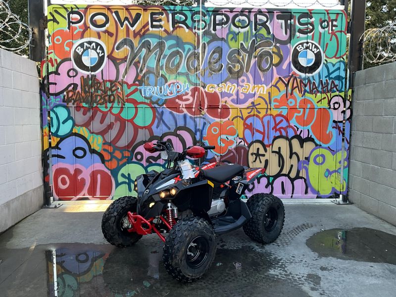 2025 Can-Am RENEGADE 110 Image 3