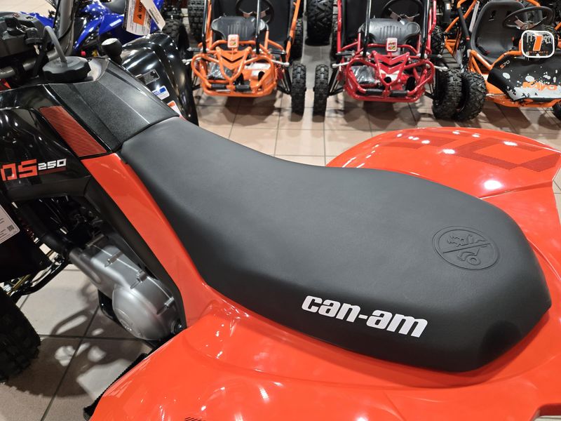 NEW 2026 CAN-AM DS 250 Image 12