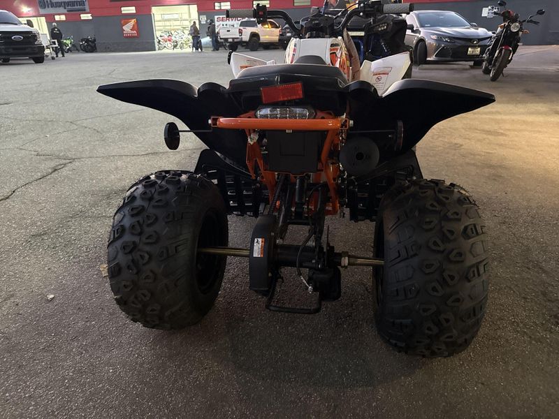 New 2025 Kayo STORM 150 EFI Image 13