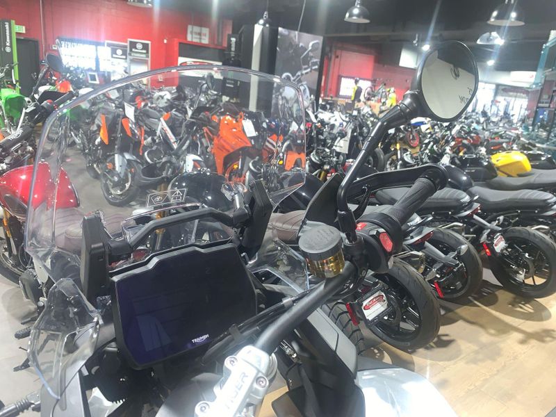 2023 Triumph TIGER 1200 RALLY PRO  in a SNOWDONIA WHITE exterior color. Del Amo Motorsports of Long Beach (562) 362-3160 delamomotorsports.com 