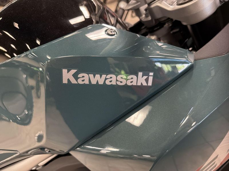New 2026 Kawasaki KLE500 SE ABS Image 26