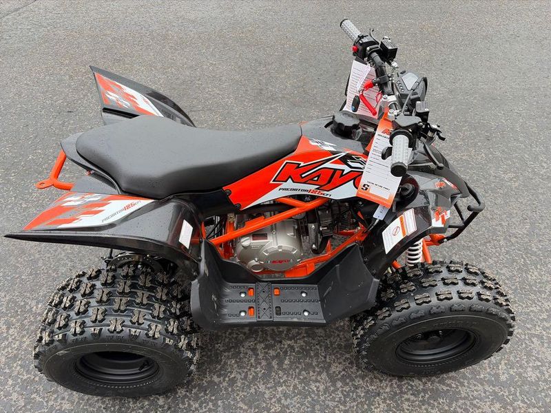 New 2026 KAYO PREDATOR 125 EFI 