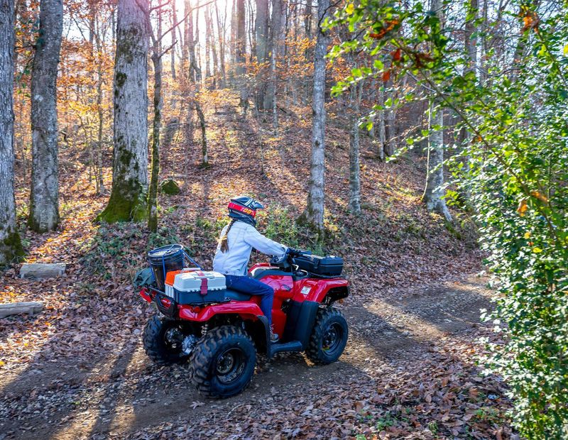 2025 Honda FOURTRAX RANCHER 4X4 