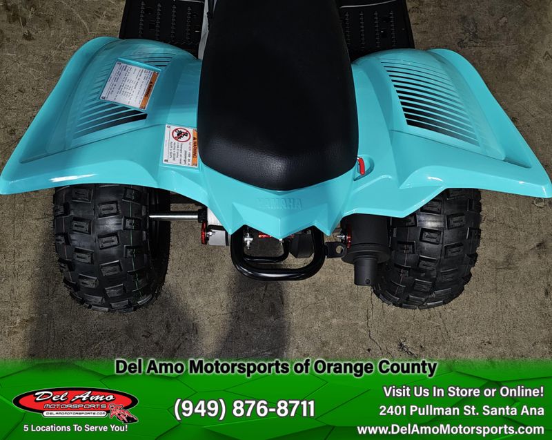 New 2025 Yamaha RAPTOR 110 Image 13