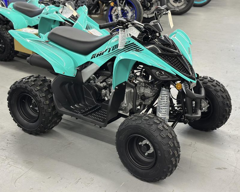 2025 Yamaha RAPTOR 110 Image 1