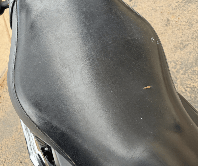 USED 2019 HONDA SHADOW PHANTOM Image 10