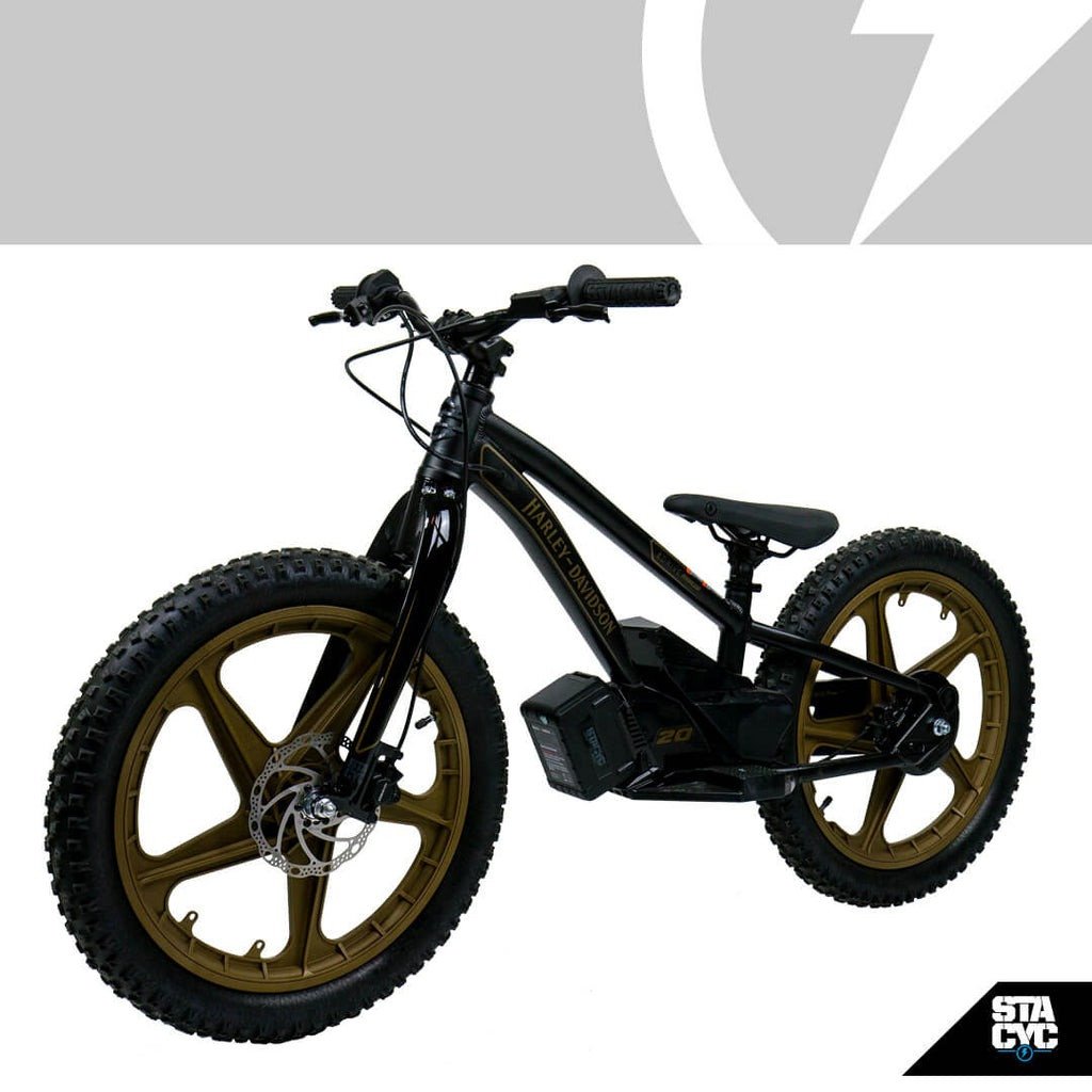 2024 Stacyc H-D 20eDrive Rigid Fork