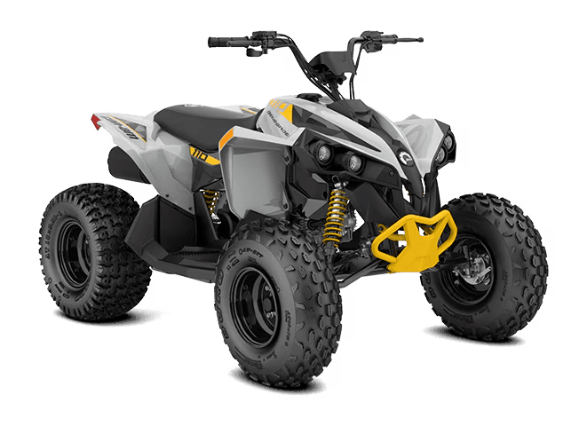 2026 CAN-AM RENEGADE 110 EFI