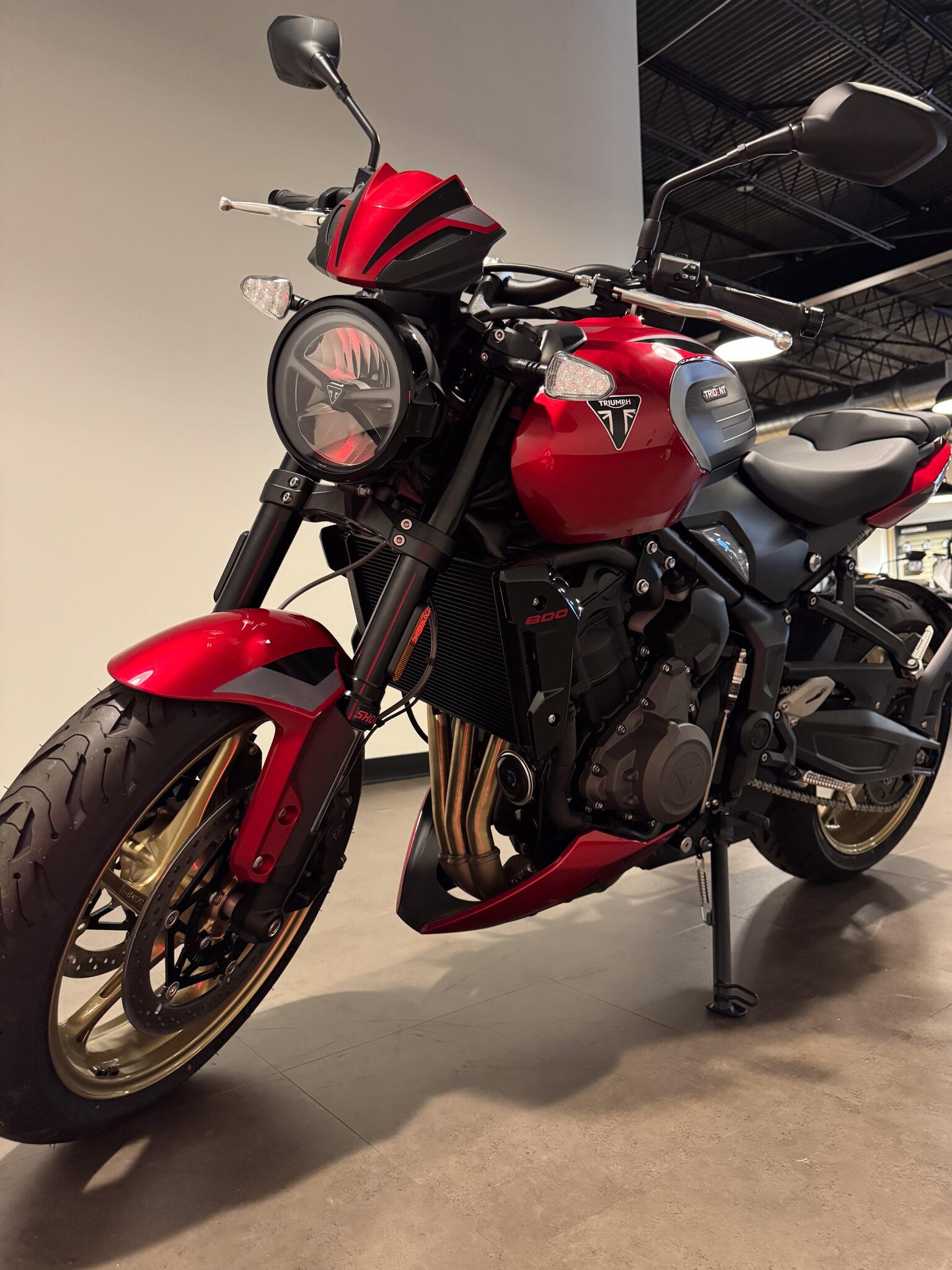 2026 Triumph TRIDENT 800