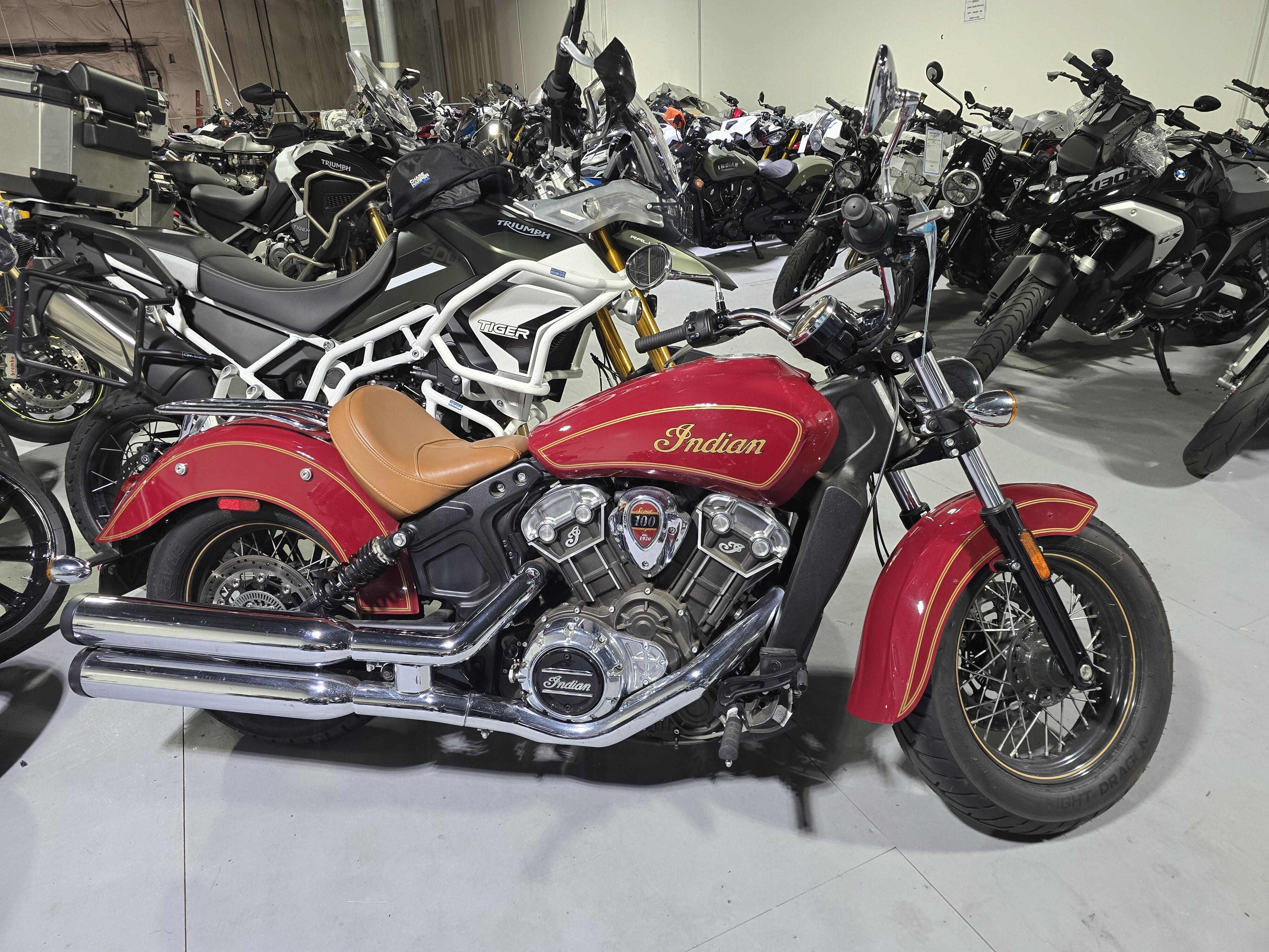 2020 Indian Motorcycle Scout 100th Anniversary