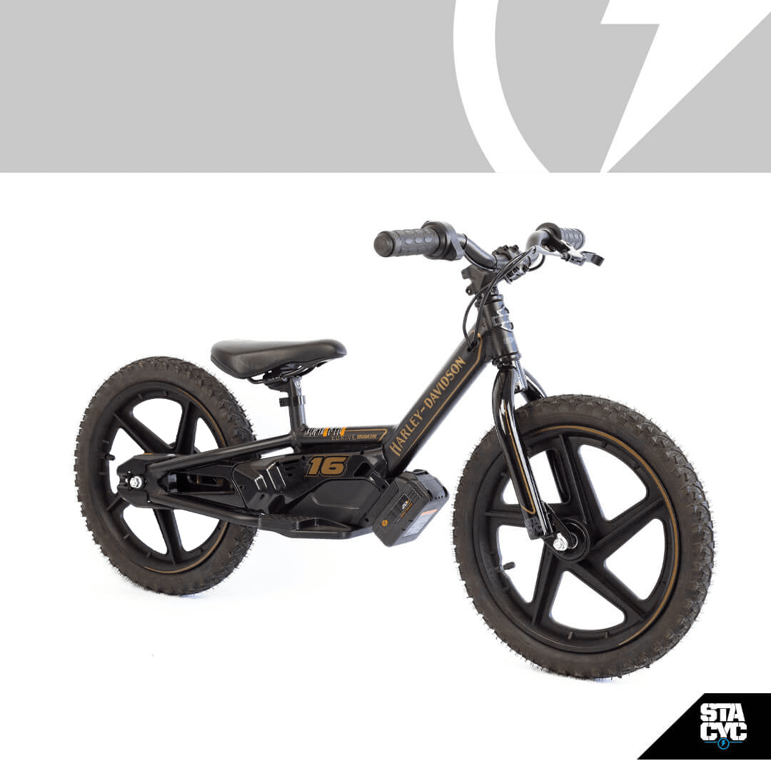 2026 Stacyc H-D 16eDRIVE Brushless