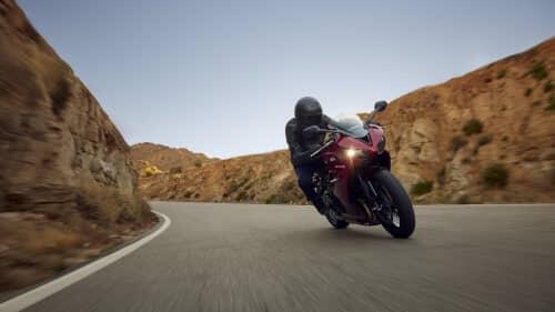 Daytona 660 Models