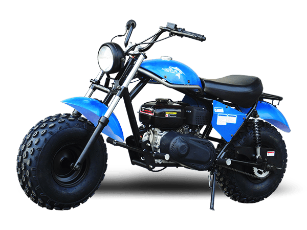 2025 Trailmaster Mini Bike