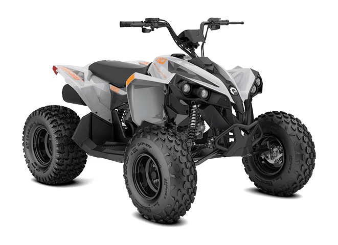 2027 Can-Am Renegade 110 EFI